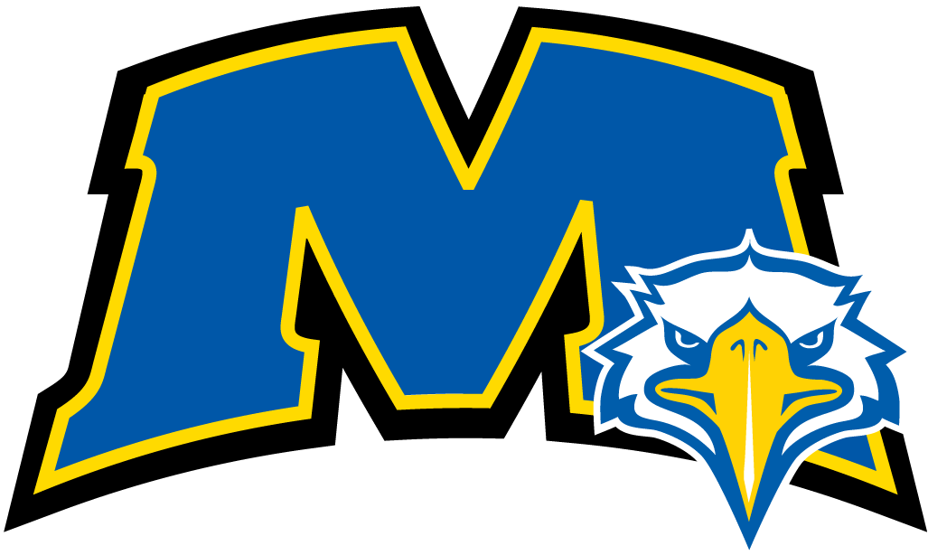 Morehead State Eagles 2005-Pres Alternate Logo v5 diy iron on heat transfer